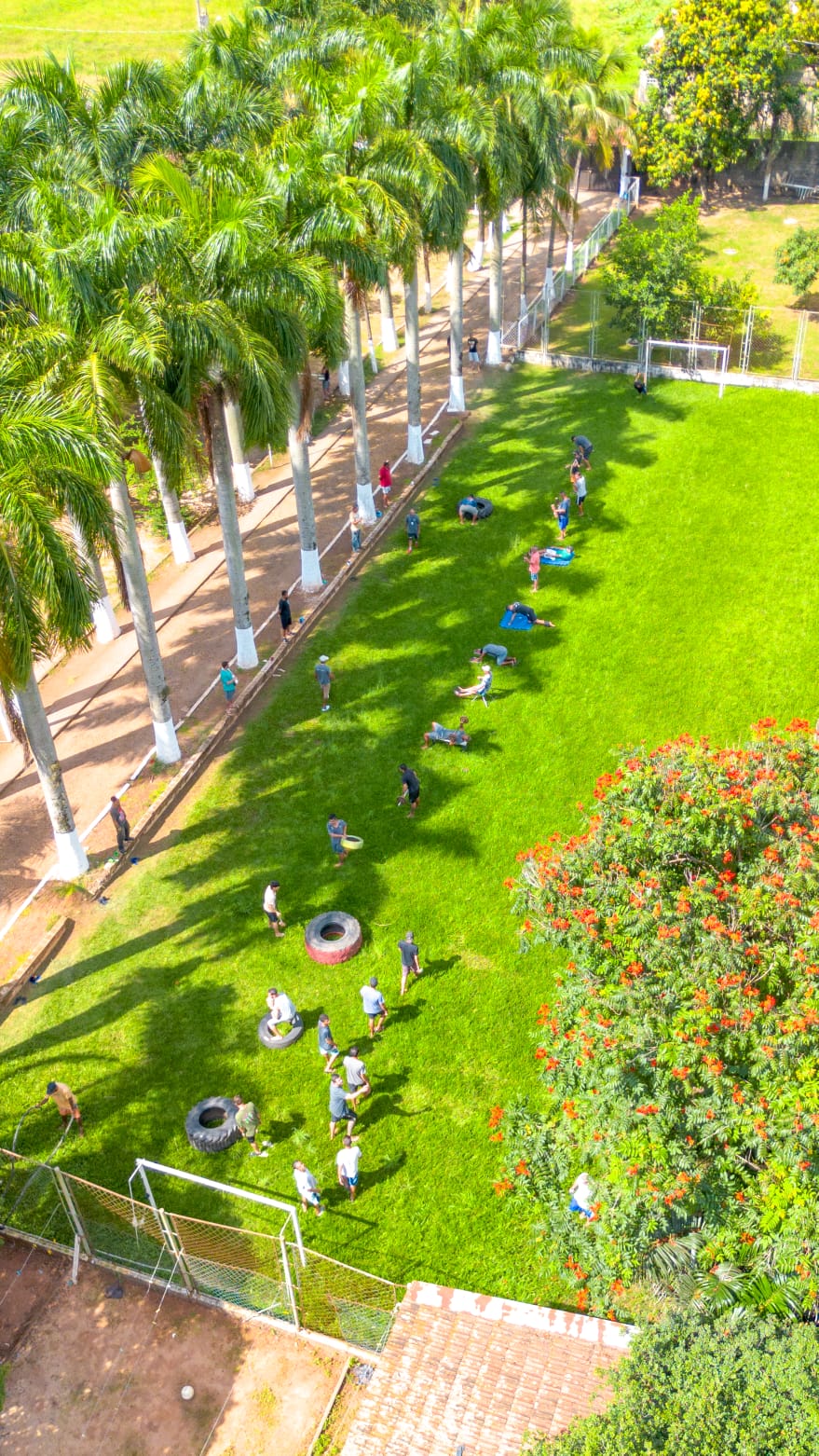 Área verde da clínica