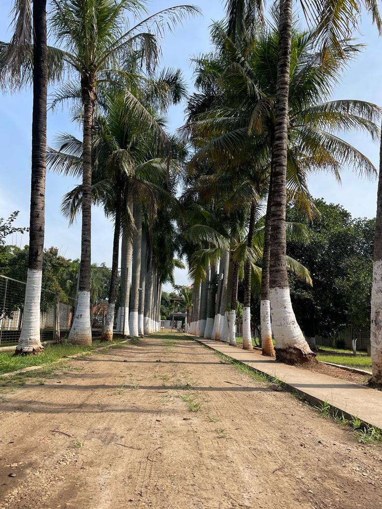 Fachada da Dolce Vita Estância Terapêutica